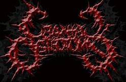 logo Cranial Osteotomy